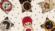 Chats