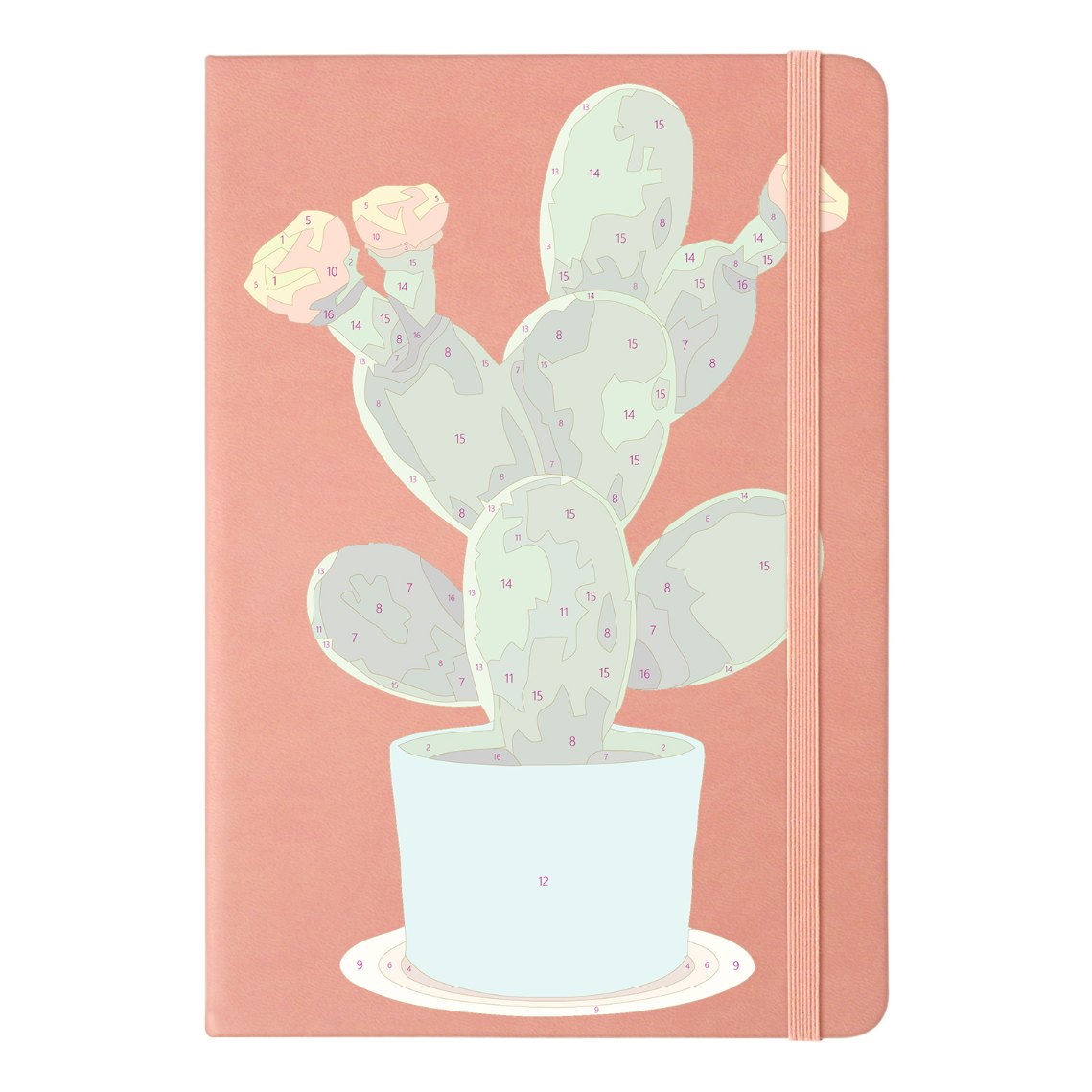 Carnet à peindre par numéro Cactus en Fleurs, vue 9, Maison Artsen
