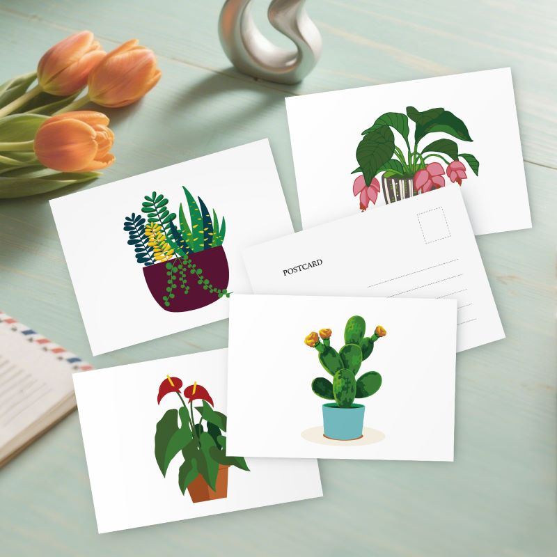 Cartes postales à peindre par numéro Plantes Vertes, Maison Artsen