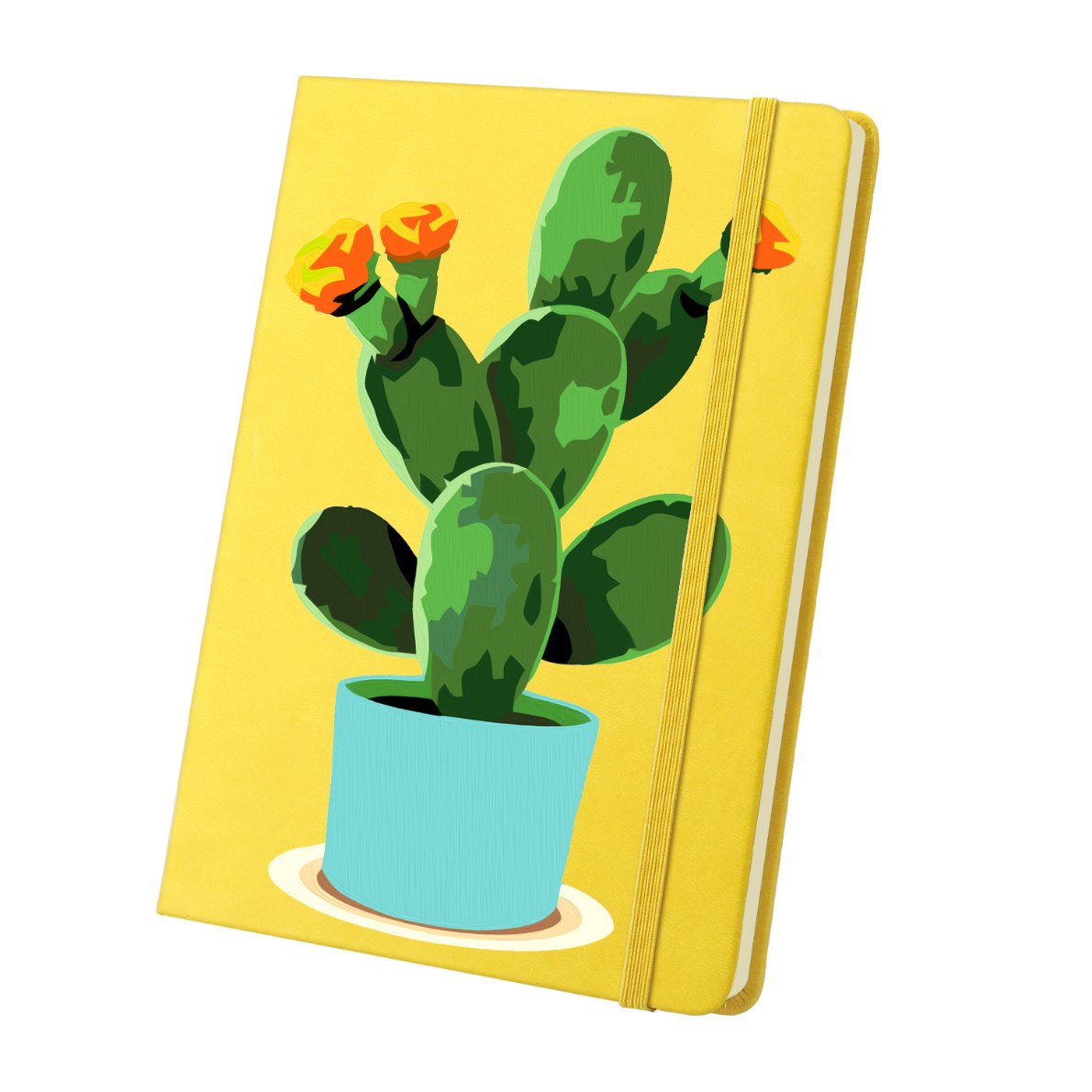 Carnet à peindre par numéro Cactus en Fleurs, vue 2, Maison Artsen