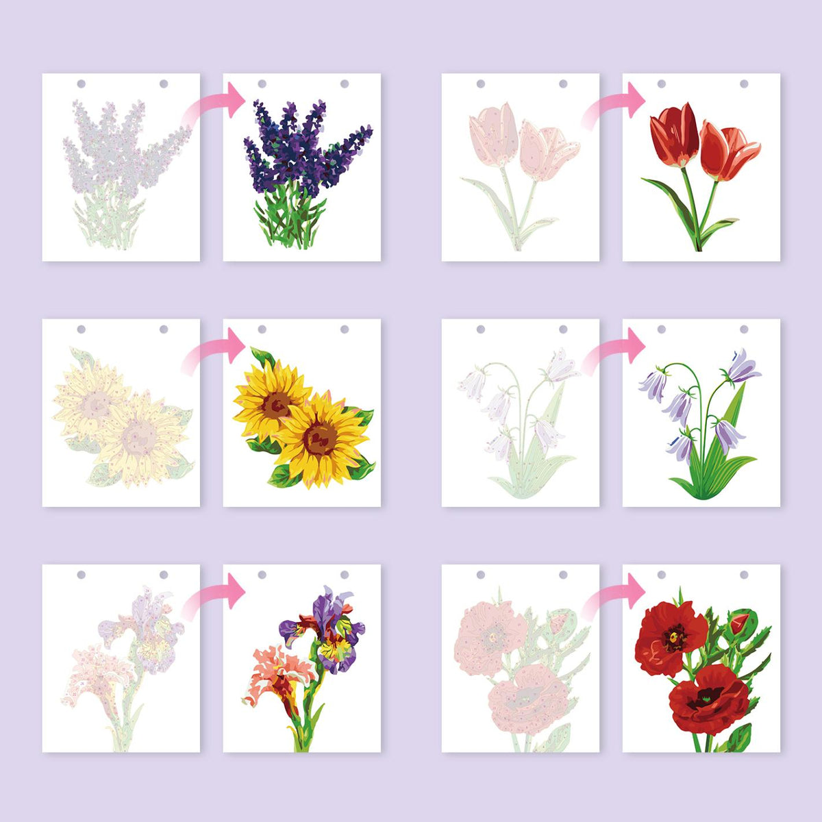 Calendrier 2027 peinture par numéro Fleurs du Jardin, Maison Artsen – vue 9