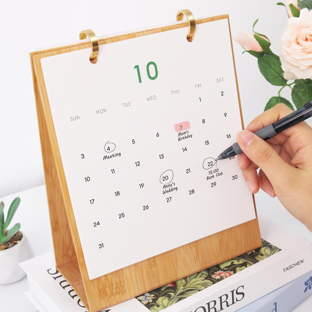 Calendrier 2027 peinture par numéro Plantes d'Intérieur, Maison Artsen – vue 12