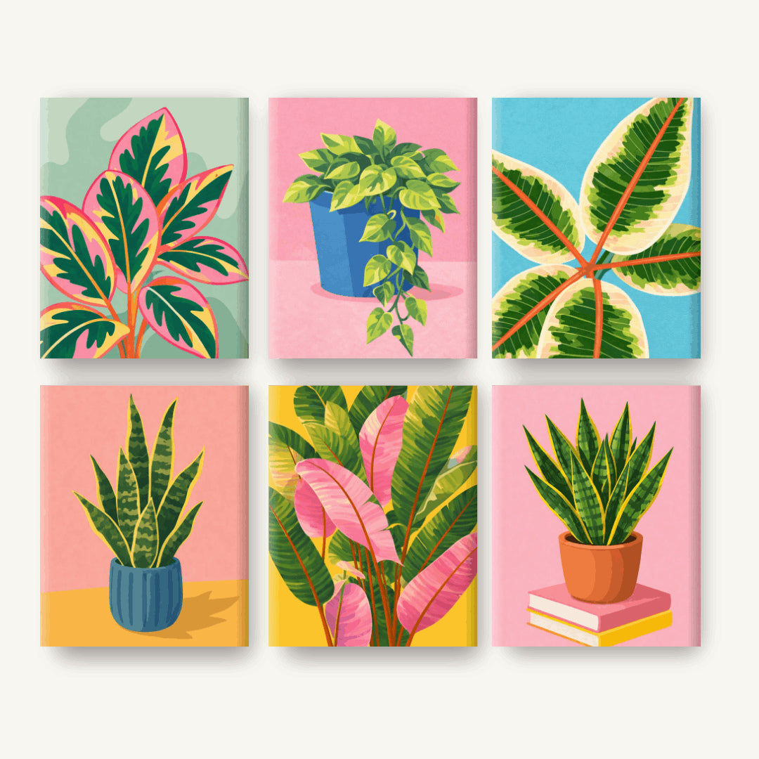 Coffret de 6 peintures par numéro Jardin d’Intérieur, les mini-toiles à plat, Maison Artsen