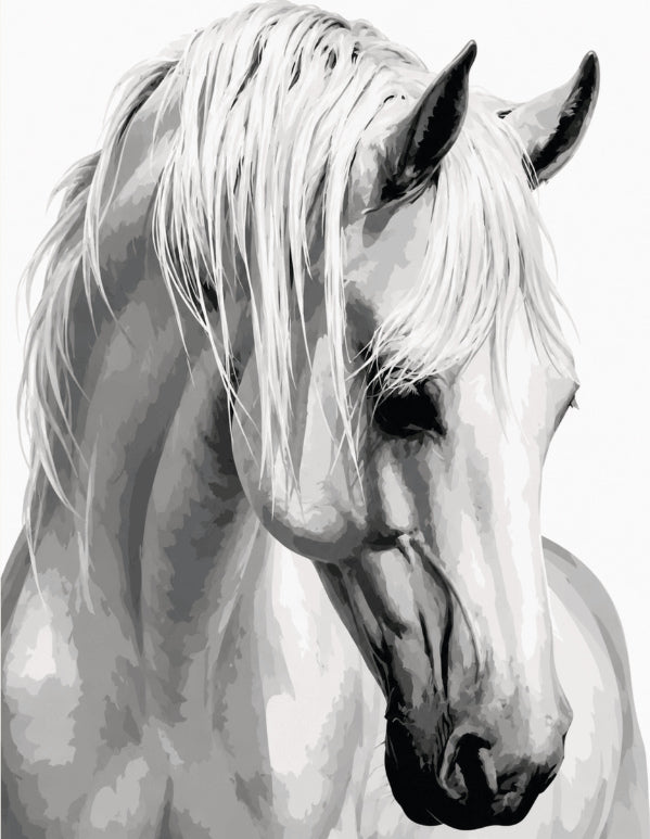 Peinture par numéro adulte Cheval à la Crinière d'Argent, visuel complet du design sur toile, Maison Artsen