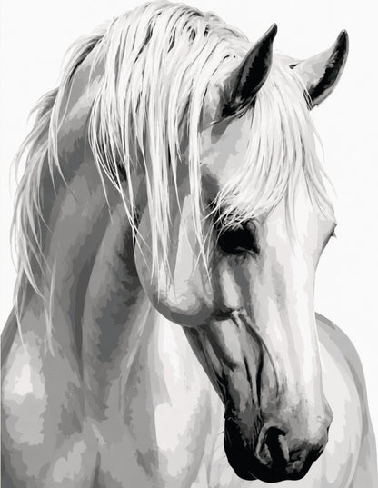 Peinture par numéro adulte Cheval à la Crinière d'Argent, visuel complet du design sur toile, Maison Artsen