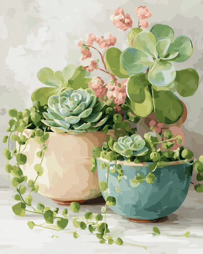 Peinture par numéro adulte Succulentes de Printemps, visuel complet du design sur toile, Maison Artsen