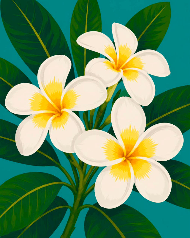 Peinture par numéro adulte Fleurs de Frangipanier, visuel complet du design sur toile, Maison Artsen