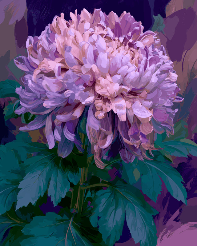 Peinture par numéro adulte Chrysanthème Mauve, visuel complet du design sur toile, Maison Artsen