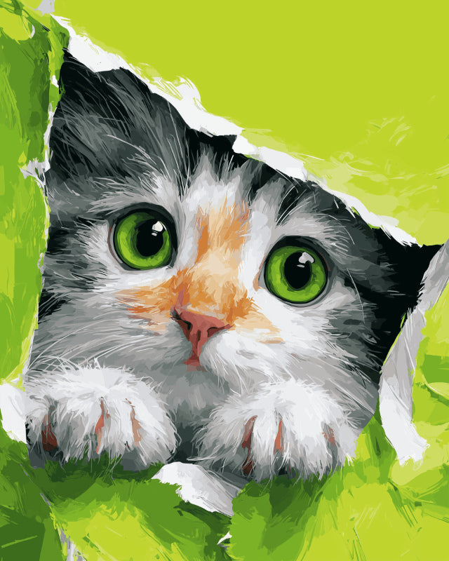Peinture par numéro adulte Chaton qui Pointe le Nez, visuel complet du design sur toile, Maison Artsen