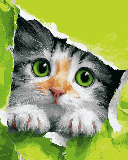 Peinture par numéro adulte Chaton qui Pointe le Nez, visuel complet du design sur toile, Maison Artsen