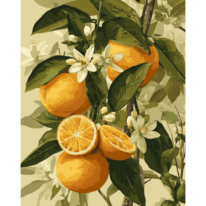 Agrumes en Fleurs - Peinture par numéro Maison Artsen