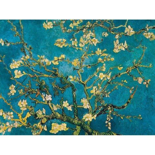 Fleurs d'Amandier - Tableau peinture par numéro