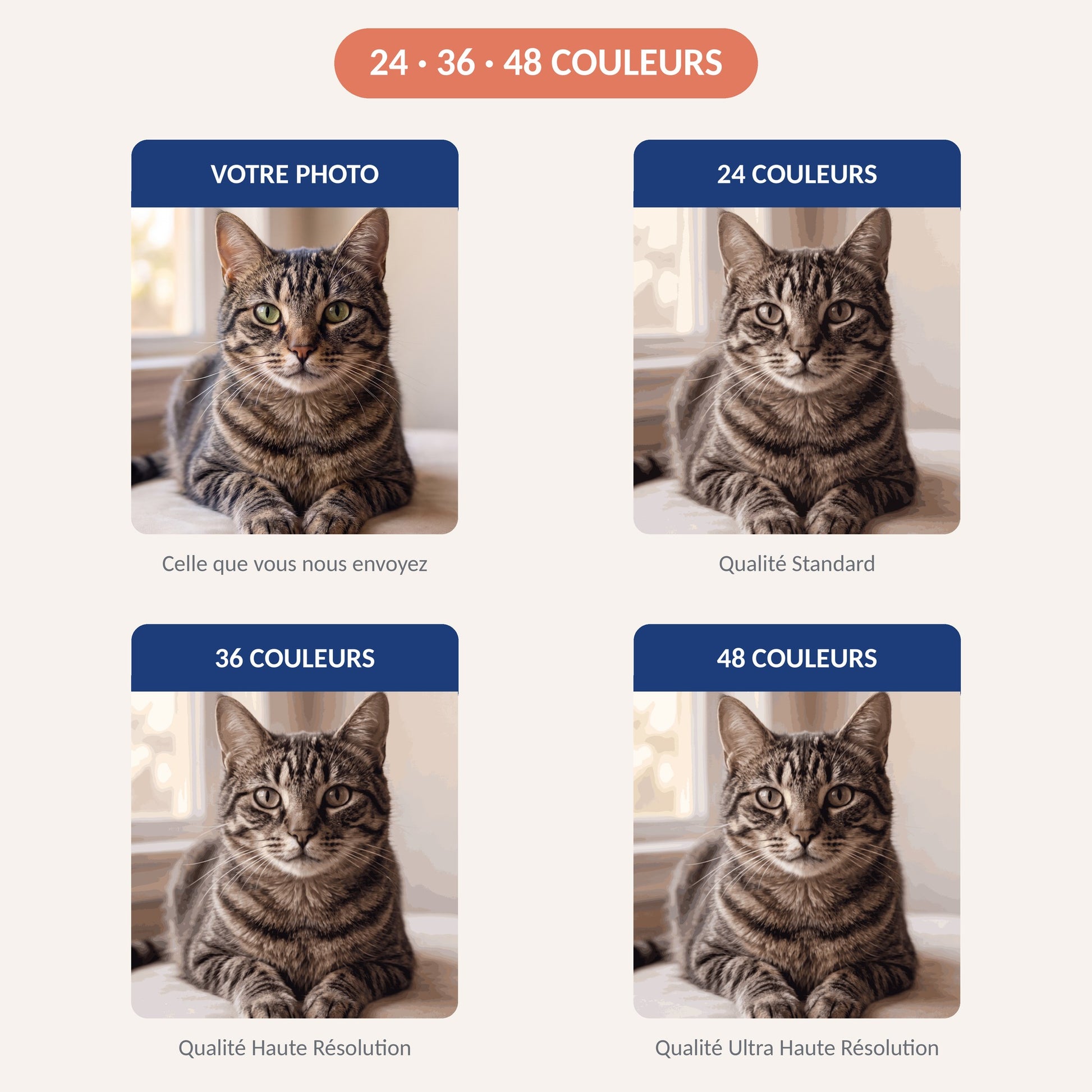 Comparatif 24, 36 et 48 couleurs pour un portrait de chat en peinture par numéro