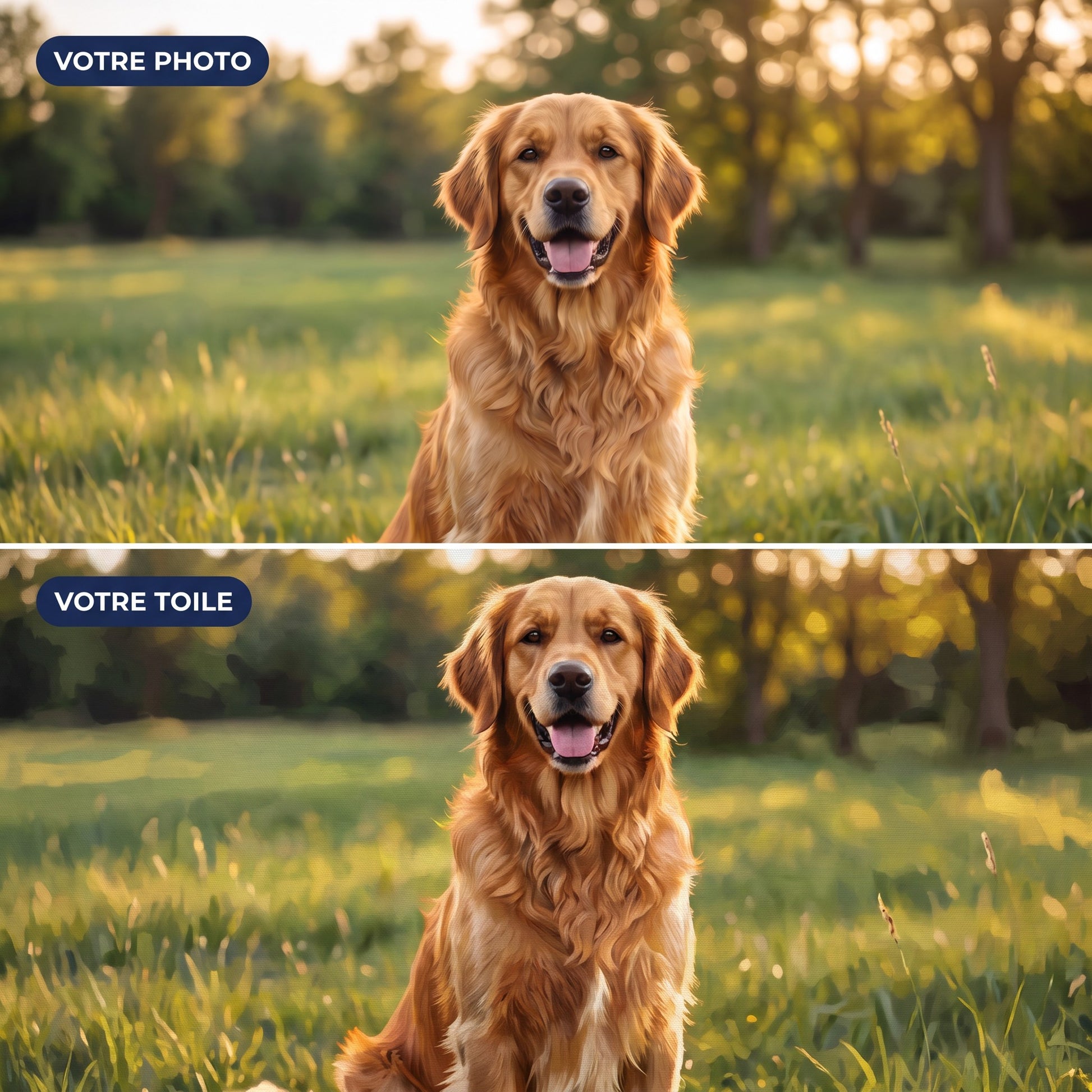 Avant après : photo d'un golden retriever transformée en peinture par numéro personnalisée