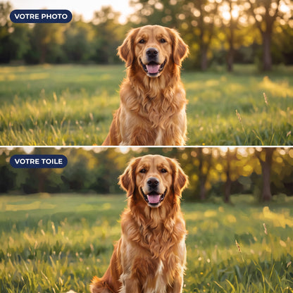 Avant après : photo d'un golden retriever transformée en peinture par numéro personnalisée