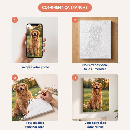 Les 4 étapes : envoyer la photo de son chien, recevoir la toile numérotée, peindre, accrocher