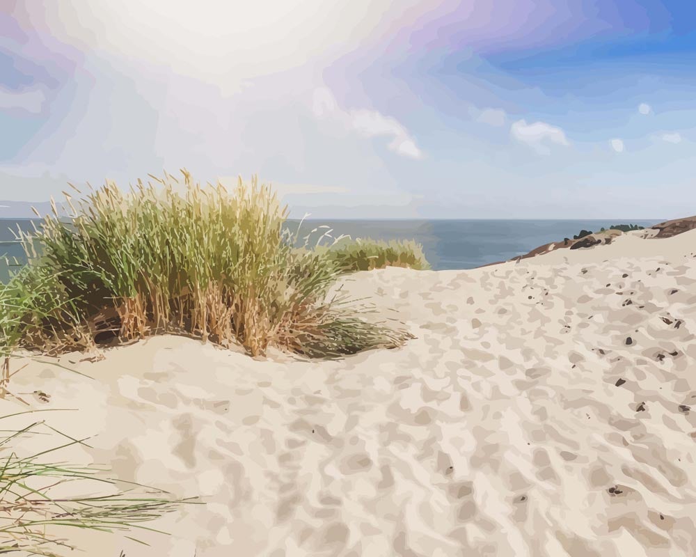 Dunes Baltiques - Tableau peinture par numéro