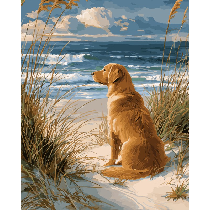 Modèle à peindre Golden Retriever à la Plage, peinture par numéro 30×40 cm — Maison Artsen