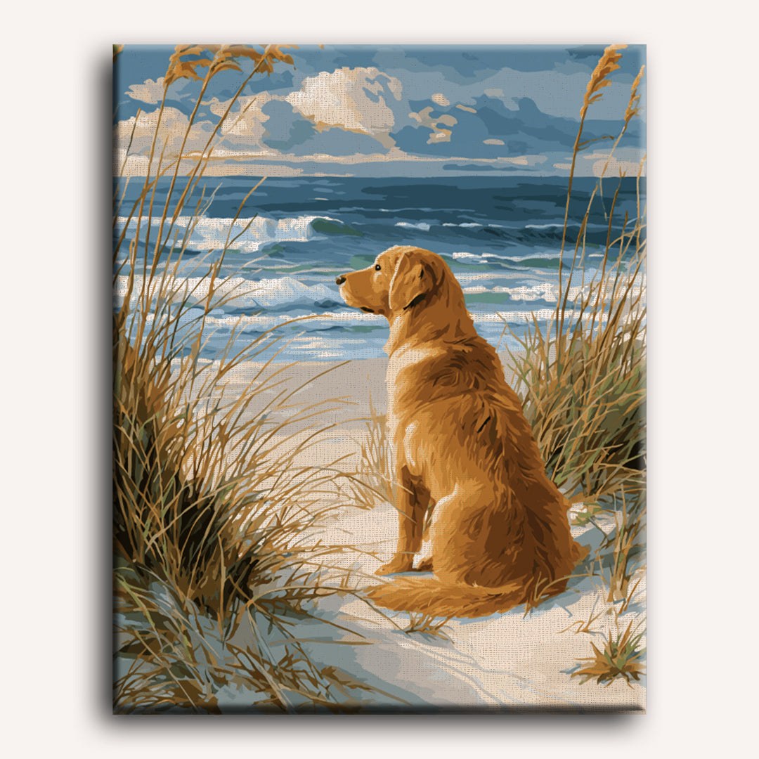 Peinture par numéro adulte Golden Retriever à la Plage, toile tendue 30×40 cm — Maison Artsen