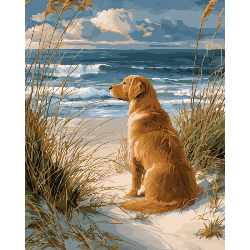 Labrador Patient - Peinture par numéro Maison Artsen