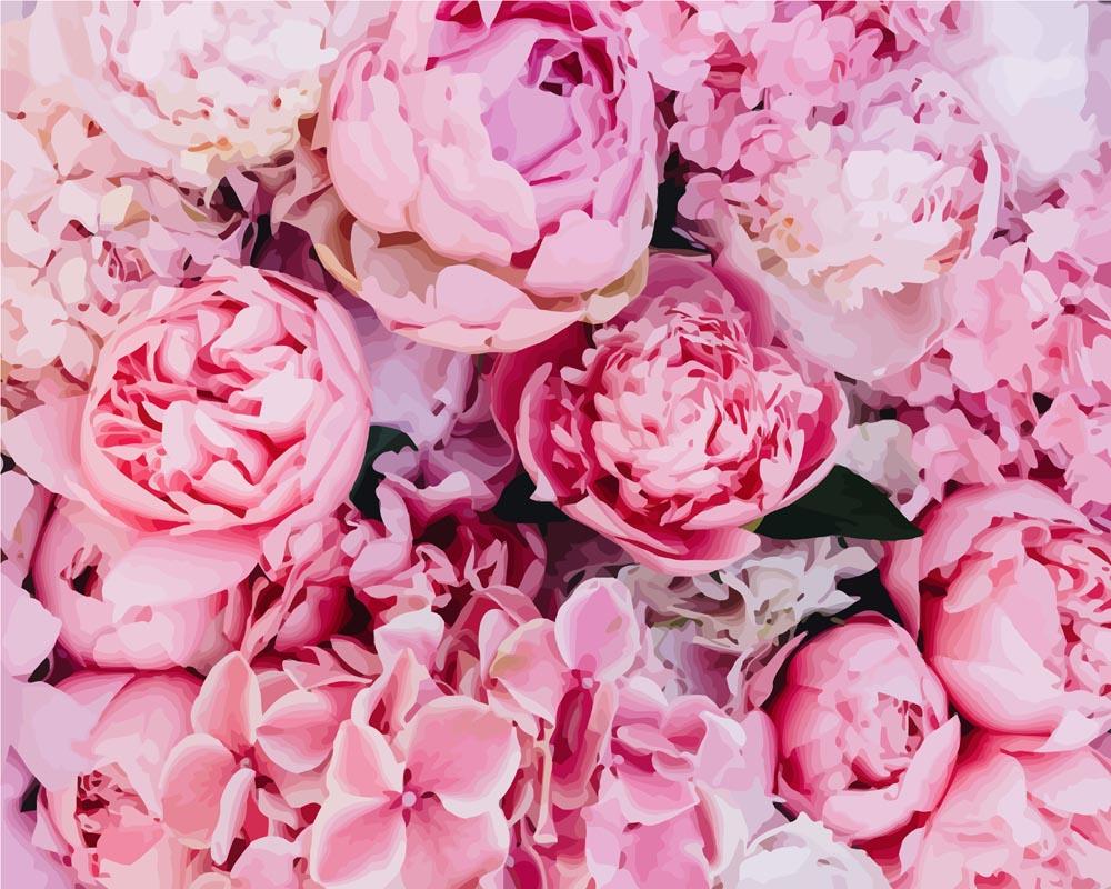 Fond de Pivoines Roses - Tableau peinture par numéro