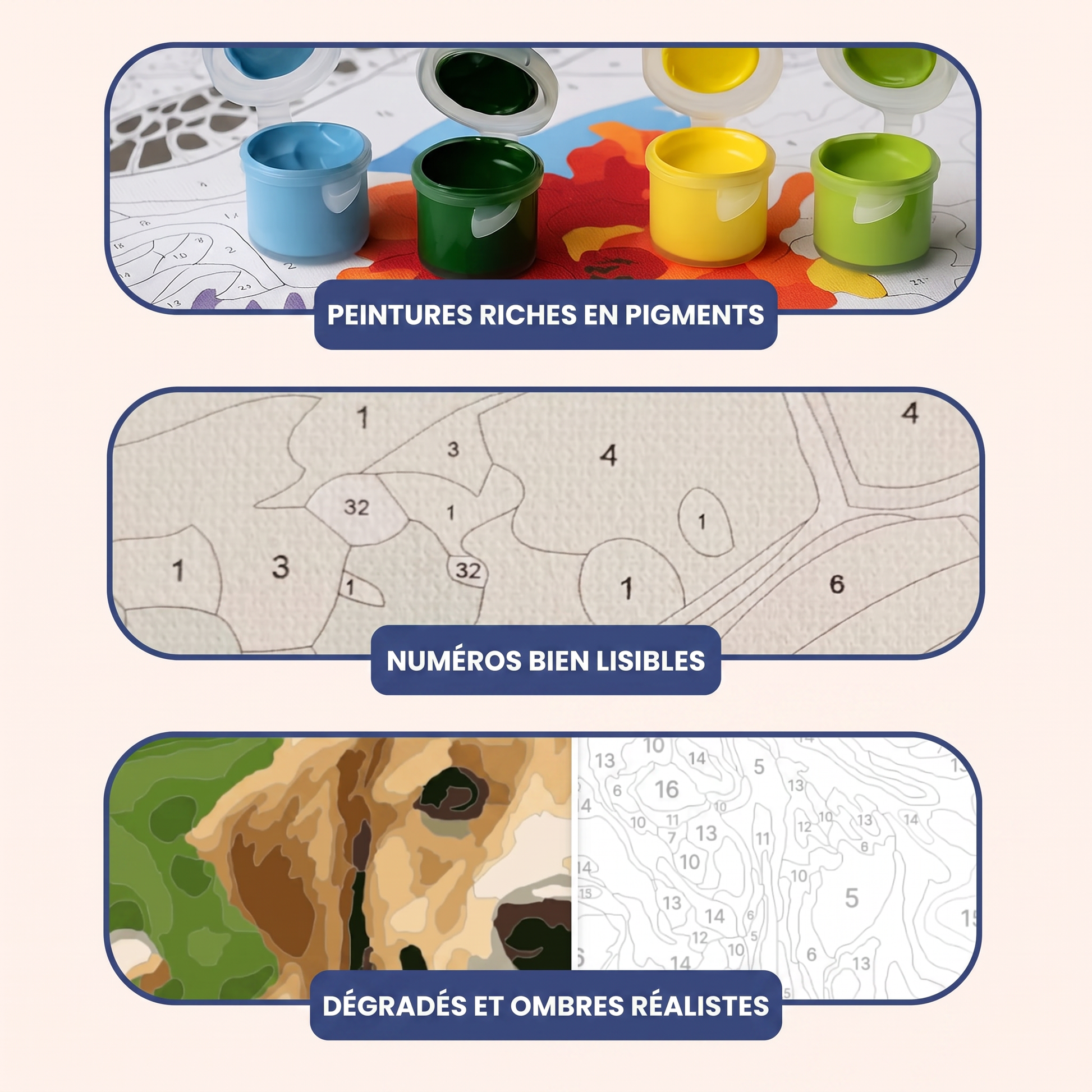 Détails du kit de peinture par numéro Maison Artsen : pots de peinture riches en pigments, numéros bien lisibles sur la toile, dégradés et ombres réalistes.