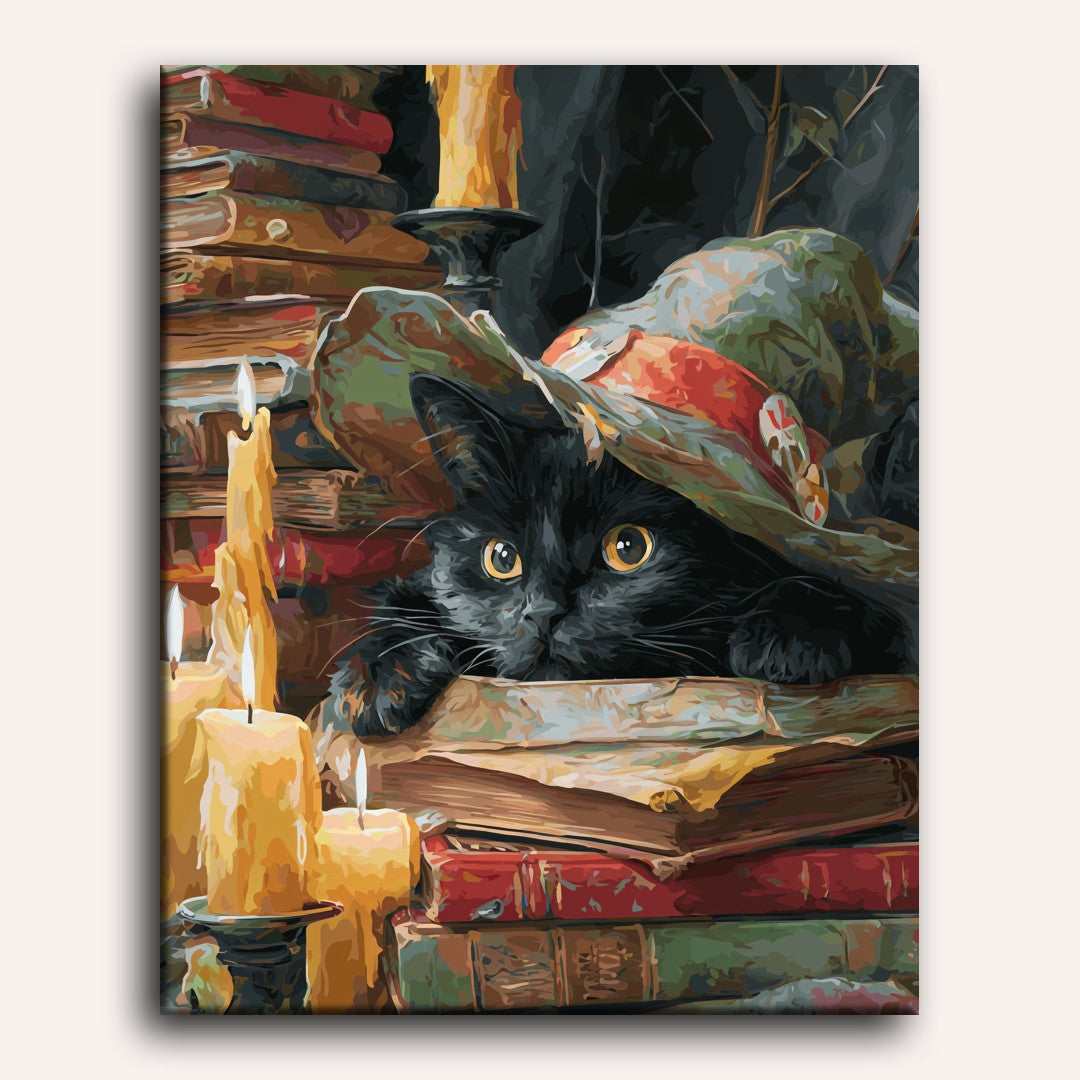 Chat Sorcière - Peinture par numéro Maison Artsen
