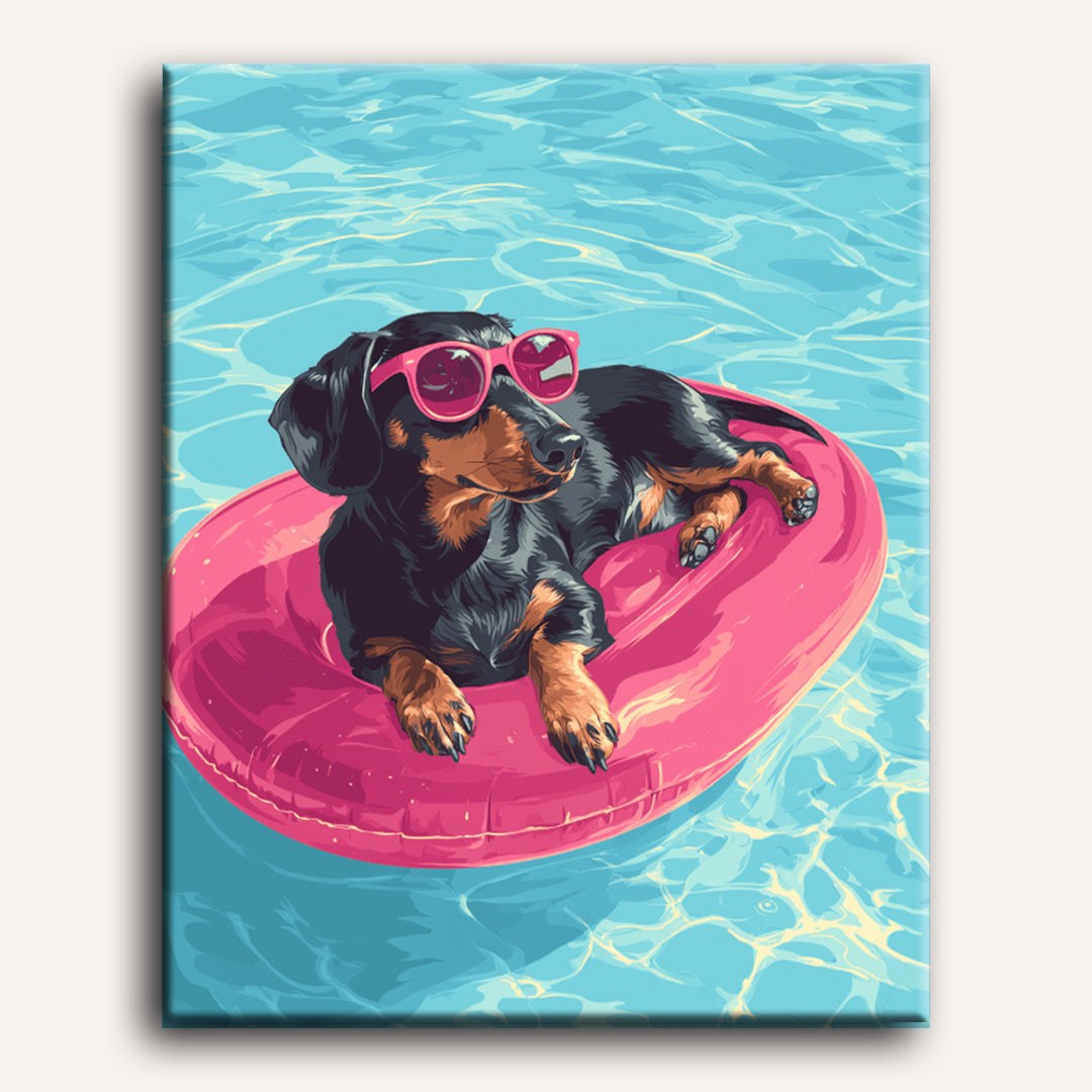 Peinture par numéro adulte Teckel à la Piscine, toile tendue 30×40 cm — Maison Artsen