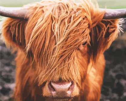 Modèle à peindre Vache des Highlands, peinture par numéro 30×40 cm — Maison Artsen