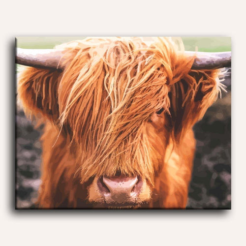 Peinture par numéro adulte Vache des Highlands, toile tendue 30×40 cm — Maison Artsen