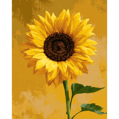 Vignette 11200051151185