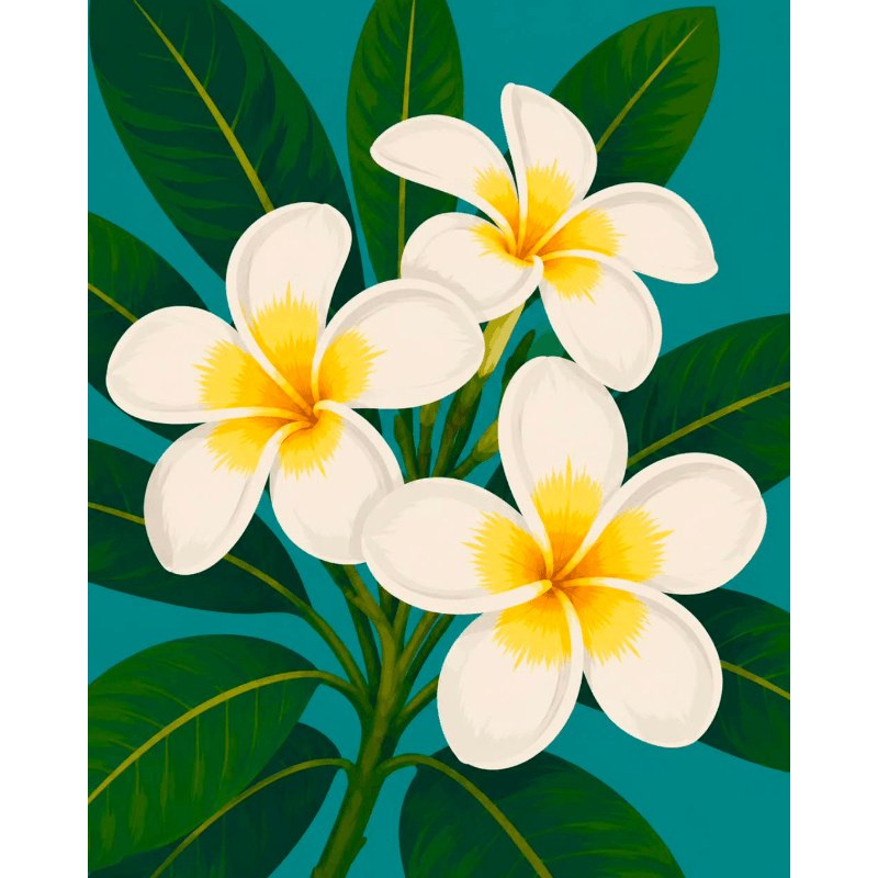 Vignette 11200056688977